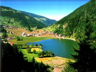 İstanbul Trabzon Promosyon Uçak Bileti 99 TL